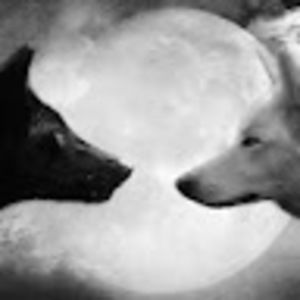 Meet your Posher, Julie ann